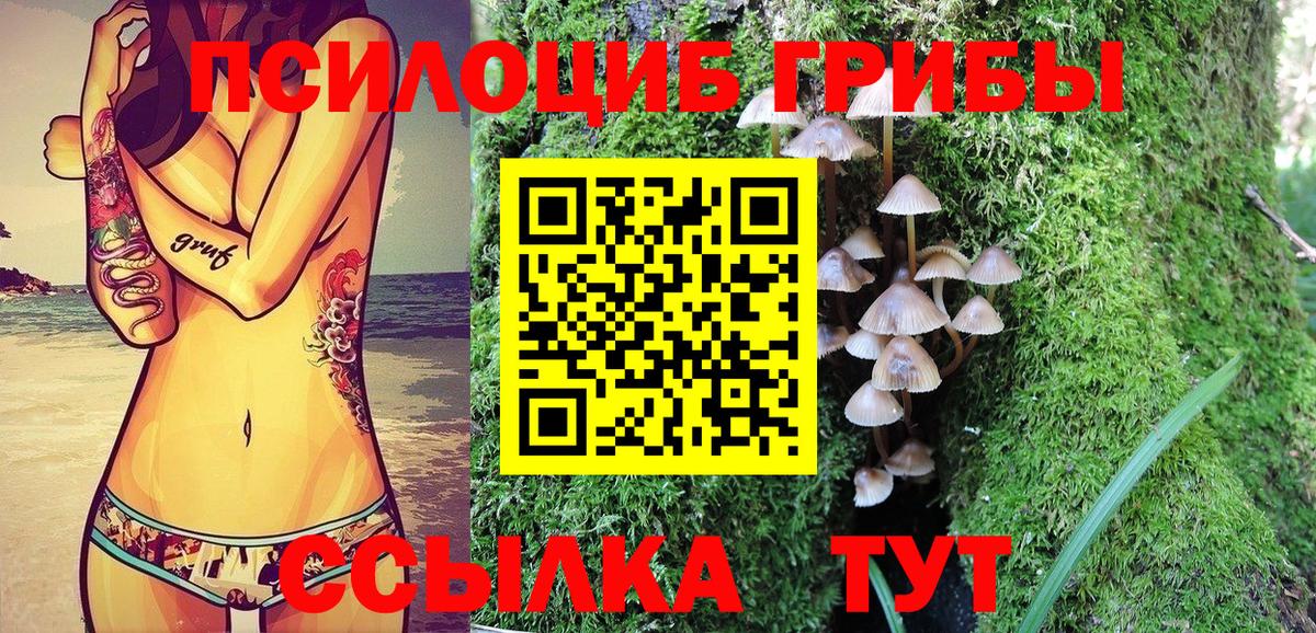 Псилоцибиновые грибы Magic Shrooms Ковров